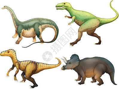 四只恐龙图片