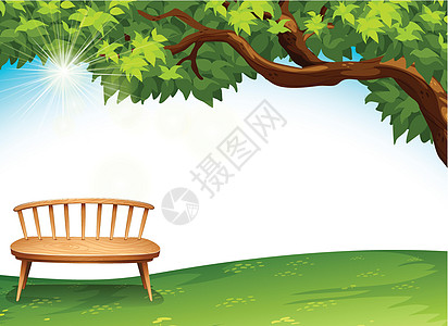 树附近的一把椅子图片