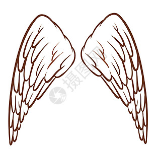 天使的翅膀艺术品白色素描前翅剪贴翅膀绘画草图艺术线条图片