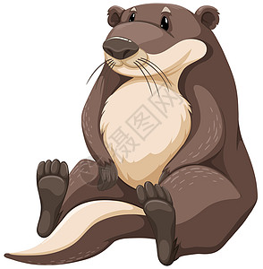 奥特白色哺乳动物卡通片横幅棕色荒野胡须爪子脊椎动物野生动物图片