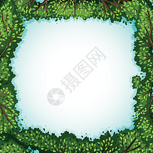 框架横幅绿色植物分支机构公告植物墙纸树枝绘画空白边界图片