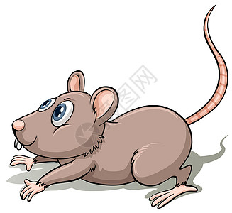 一只灰老鼠绘画跑步耳朵尾巴灰色破坏老鼠害虫眼睛动物图片