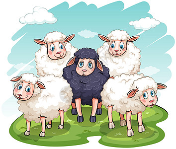 五羊黑色羊毛白色家畜农业动物偶数牛奶绵羊母羊图片