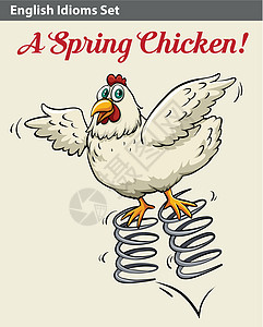 表示春天小鸡的英语成语女士羽毛文字菜单女性动物母鸡海报字体艺术品背景图片