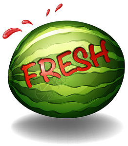 水瓜字母低热量卡通片字体红色绿色圆形饮食营养写作图片