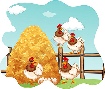 鸡动物异国干草农场风景绘画食物食肉农业哺乳动物图片