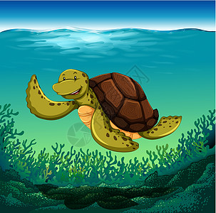 海龟卡通片绿色蓝色珊瑚绘画横幅墙纸海洋木板海报背景图片