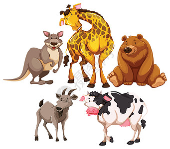 动物海报贴纸横幅生物袋鼠卡通片绘画荒野奶牛团体图片