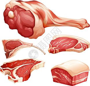 鲜切羊肉牛肉酱香肠食物火腿产品绘画热狗肋骨牛扒卡通片红肉插画