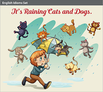下雨有动物的成语男性小狗文字伴侣男生友谊跑步绘画绅士男人图片