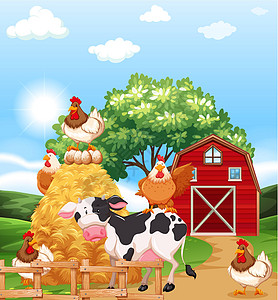 农场动物农业泥路干草卡通片食物场景草地公鸡母鸡生物图片