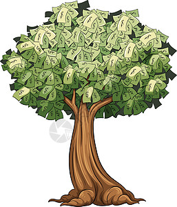 金钱树白色树叶绿色木头阴影庇护所棕色叶子富裕分支机构图片