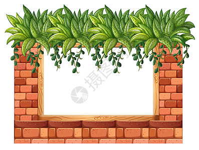 相框砖块挂件灌木丛墙纸写作植物正方形装饰品树叶边界图片