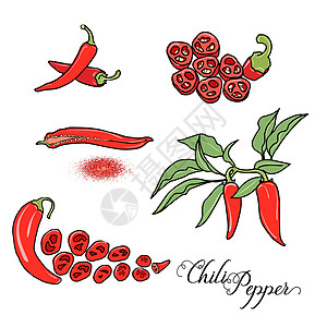 辣椒矢量 se香料草图平面饮食红色设计剪贴烹饪图片