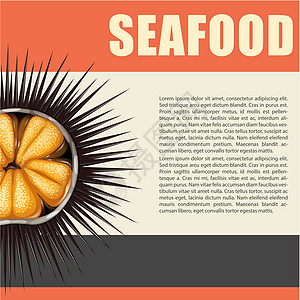 海胆海鲜海报图片