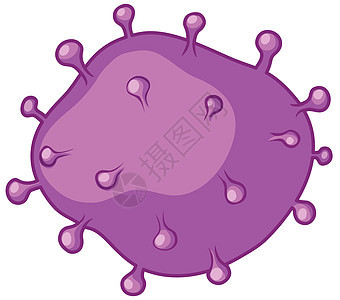 白色细菌紫色绘画研究医疗学习实验生物学尖刺插图科学背景图片
