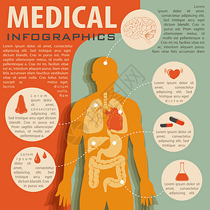 与人体解剖学的医学信息图科学医疗生物学部位绘画药品卡通片治疗生物身体图片