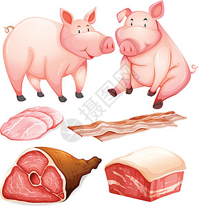 猪及猪产品图片