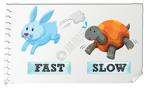 疯狂动物城兔子相反的形容词快和慢情调哺乳动物语言插图英语绘画教育字体热带生物设计图片