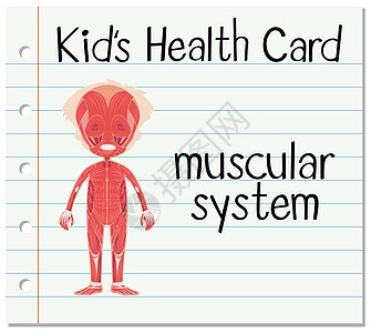 带肌肉系统的健康卡图片