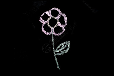 黑板上用白色粉笔手绘花粉色植物群花园植物花朵绿色背景花卉图片