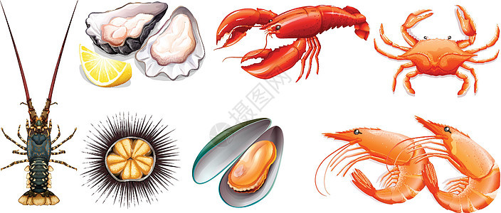 套新鲜的海鲜哺乳动物肌肉艺术食肉龙虾剪裁热带绘画夹子食物图片