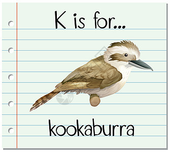 抽认卡字母 K 代表笑翠鸟纸板异国教育情调插图刻字写作艺术拼写字体图片