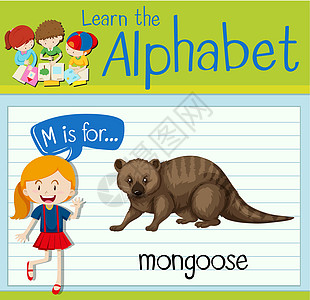 抽认卡字母 M 用于 mongoos动物教育学校猫鼬生物艺术插图学习孩子绘画图片