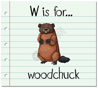 抽认卡字母 W 用于 woodchuc土拨鼠拼写野生动物写作阅读字体动物插图哺乳动物艺术图片