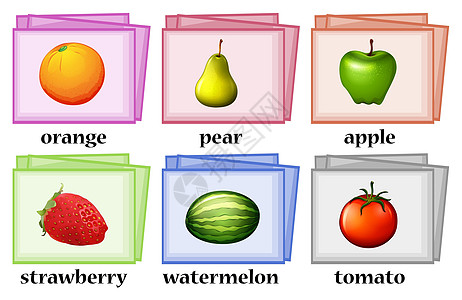 番茄苹果水果和蔬菜的单词卡插画
