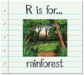 抽认卡字母 R 代表雨林闪光卡通片卡片艺术纸板阅读热带插图植物树木图片