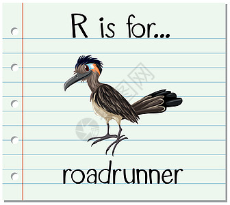 抽认卡字母 R 代表路跑教育写作闪光刻字字体艺术动物纸板绘画哺乳动物图片