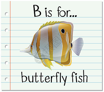 抽认卡字母 B 是蝴蝶 fis游泳写作孩子们刻字闪光卡片字体动物幼儿园纸板图片
