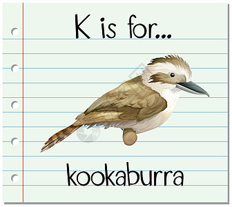 抽认卡字母 K 代表笑翠鸟写作闪光羽毛刻字插图卡片生物翅膀阅读艺术图片