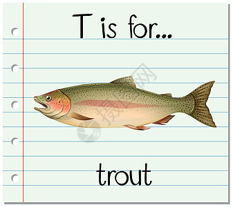 抽认卡字母 T 代表 trou野生动物夹子教育海鲜闪光幼儿园纸板拼写插图动物图片
