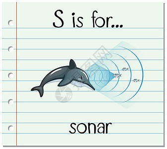 抽认卡字母 S 是为 sona夹子卡片字体海报教育动物英语知识横幅语言图片