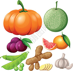 新鲜水果和蔬菜插图小路饮食碎片烹饪轧机剪裁李子低热量柚子图片