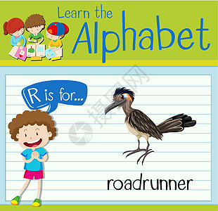 抽认卡字母 R 代表路跑学校学习插图白色哺乳动物孩子野生动物艺术教育孩子们图片