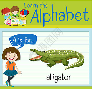 抽认卡字母 A 是 alligato孩子们学习艺术教育哺乳动物学校白色海报绿色动物图片