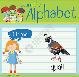 抽认卡字母 Q 代表 quai卡片夹子孩子活动动物哺乳动物演讲海报野生动物工作图片