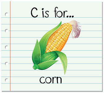 红薯淀粉抽认卡字母 c 代表 cor设计图片