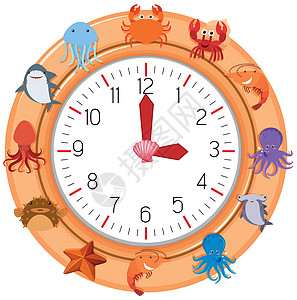 有海洋生物的时钟图片