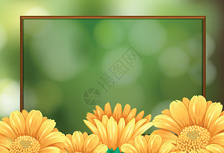 带黄色花的边框模板木板写作花园热带插图绿色绘画框架边界艺术背景图片