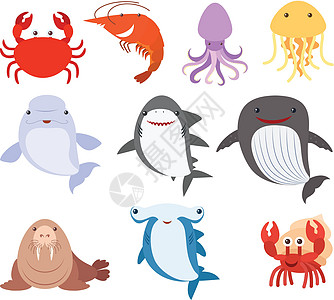 许多类型的海洋生物高清图片