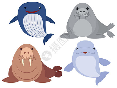 在白色背景上的海洋动物涂鸦艺术插图异国生物小路海豹情调白鲸剪裁图片