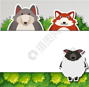 带狐狸和羊的横幅模板图片