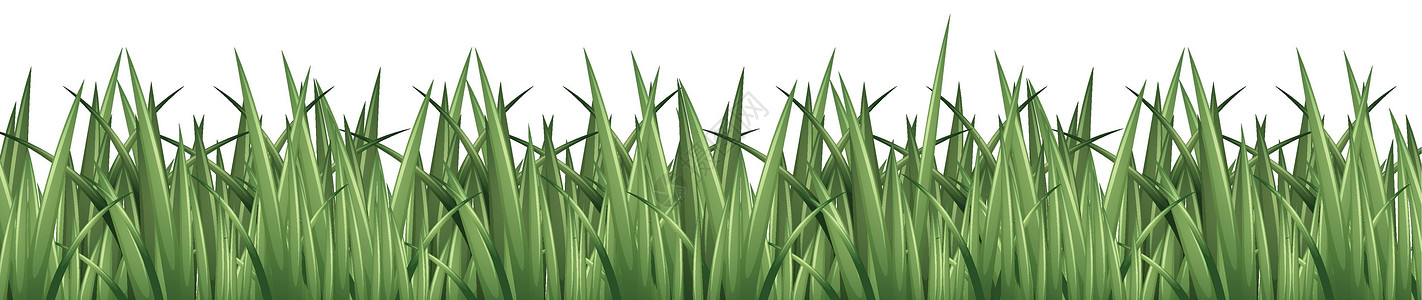 无缝背景设计与绿草背景图片