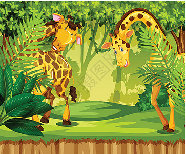 丛林中的法拉菲绘画木头剪贴卡通片野生动物艺术动物哺乳动物插图夹子图片