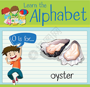 抽认卡字母 O 代表牡蛎孩子工作海报白色孩子们海鲜插图贝壳生物绘画图片