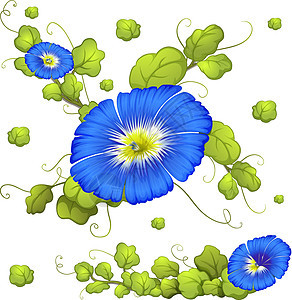 无缝背景与蓝色牵牛花花绿色喇叭花园艺插图夹子植物树叶热带绘画艺术图片
